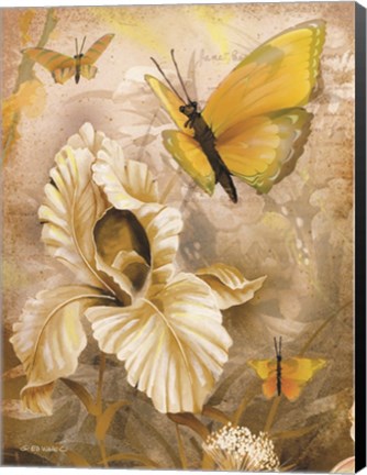 Framed Flower &amp; Butterflies I Print