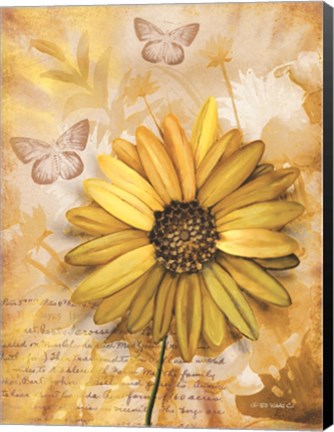 Framed Flower &amp; Butterflies II Print