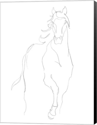 Framed Horse Contour I Print
