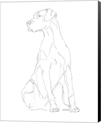 Framed Dog Contour II Print