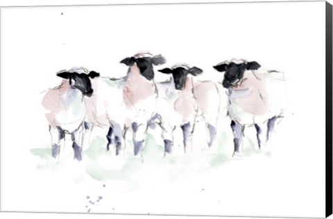 Framed Minimalist Watercolor Sheep II Print