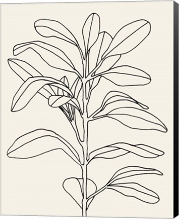 Framed Olive Branch Contour I Print