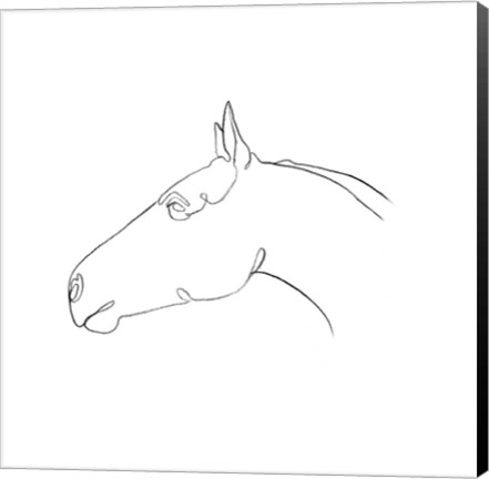 Framed Equine Pencil Contour I Print