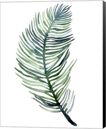 Framed Watercolor Palm Leaves III Print