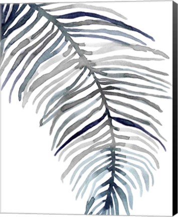 Framed Blue Feathered Palm II Print