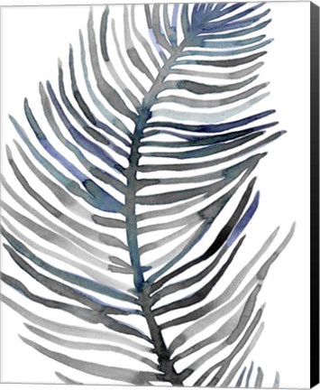 Framed Blue Feathered Palm III Print