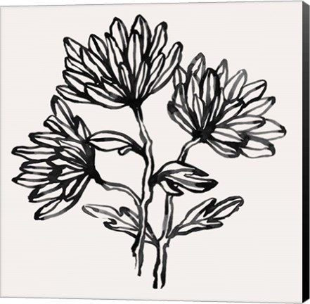 Framed Gestural Blooms II Print