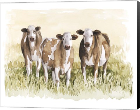 Framed Golden Graze I Print