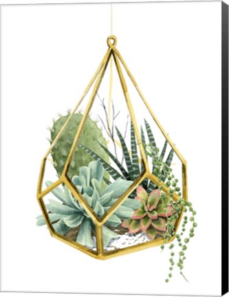 Framed Wild Terrarium II Print