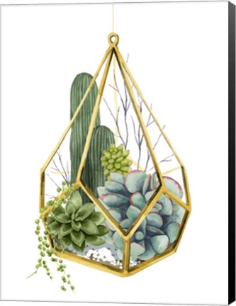 Framed Wild Terrarium IV Print