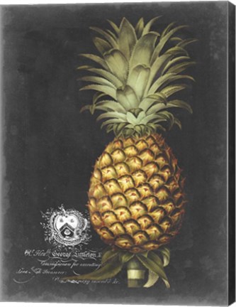 Framed Royal Brookshaw Pineapple I Print