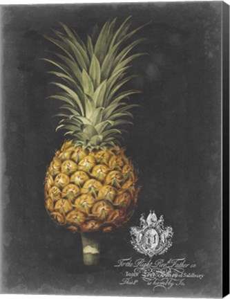 Framed Royal Brookshaw Pineapple II Print