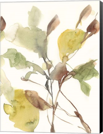Framed Ebbing Leaves II Print