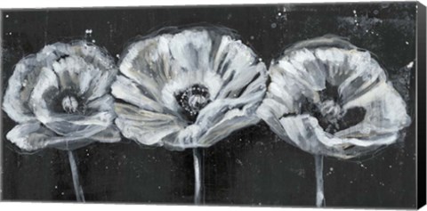 Framed White Trio on Black II Print