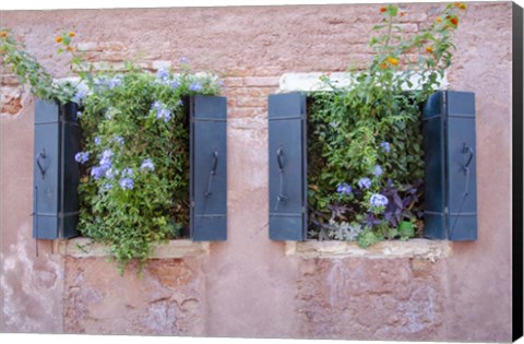 Framed Italian Window Flowers II Print