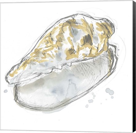 Framed Citron Shell Sketch IV Print