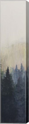 Framed Pacific Northwest Panel VII Print