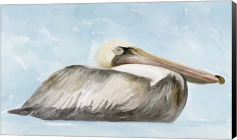 Framed Soft Brown Pelican I Print