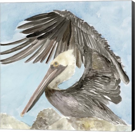 Framed Soft Brown Pelican II Print