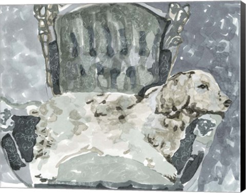 Framed Dog Study II Print