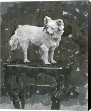 Framed Dog Study III Print