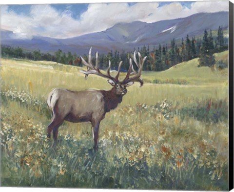 Framed Rocky Mountain Elk I Print