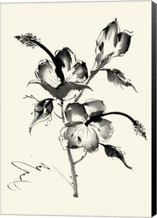 Framed Ink Wash Floral III - Hibiscus Print