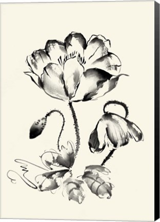 Framed Ink Wash Floral IV - Poppy Print