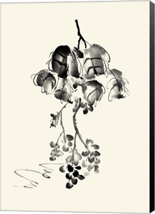 Framed Ink Wash Floral V - Grapes Print