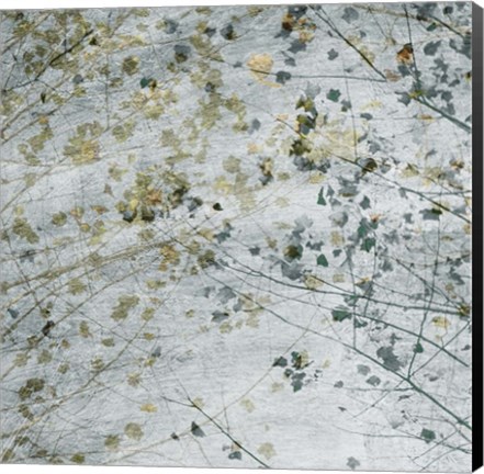 Framed Seasonal Transition II Print