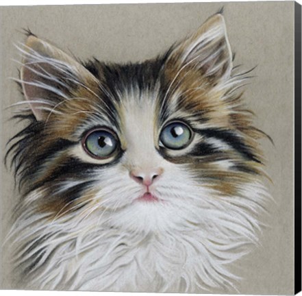 Framed Kitten Portrait II Print