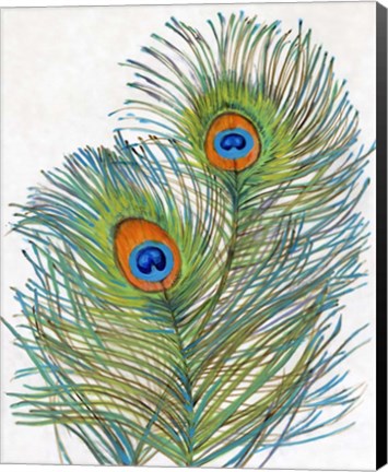 Framed Vivid Peacock Feathers I Print