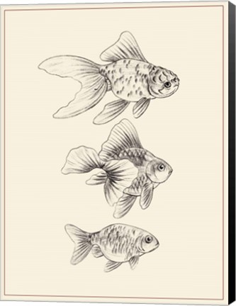 Framed Goldfish III Print