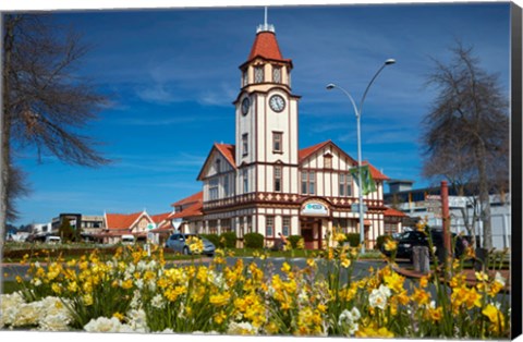 Framed I-SITE Visitor Centre (Old Post Office) And Flowers, Rotorua, North Island, New Zealand Print