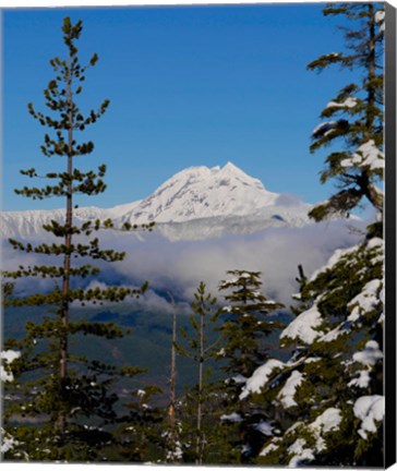 Framed Mount Garibaldi From The Chief Overlook At The Summit Of The Sea To Sky Gondola Print