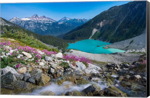 Framed British Columbia, Meltwater Stream Flows Past Wildflowers Into Upper Joffre Lake Print