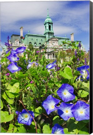 Framed USA, Montreal View Of City Hall Building Behind Flowers Print