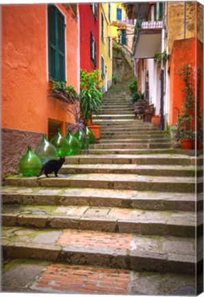 Framed Europe, Italy, Monterosso Cat On Long Stairway Print