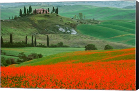 Framed Europe, Italy, Tuscany The Belvedere Villa Landmark And Farmland Print