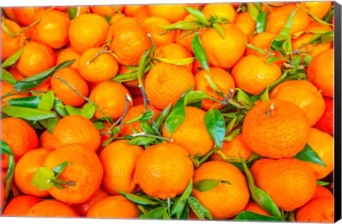 Framed Oranges Displayed In Market In Shepherd&#39;s Bush, Londo Print