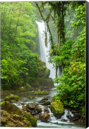 Framed Costa Rica, La Paz Waterfall Garden Rainforest Waterfall And Stream Print