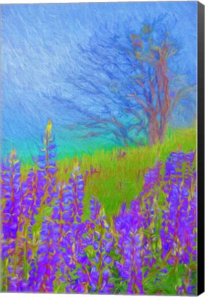 Framed Arizona Aspen Tree In Winter Print