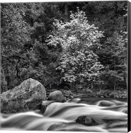 Framed California, Yosemite, Happy Isles Print