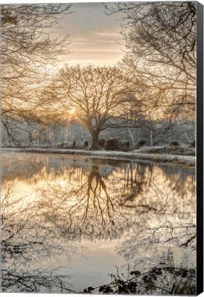 Framed Frosty Morning II Print