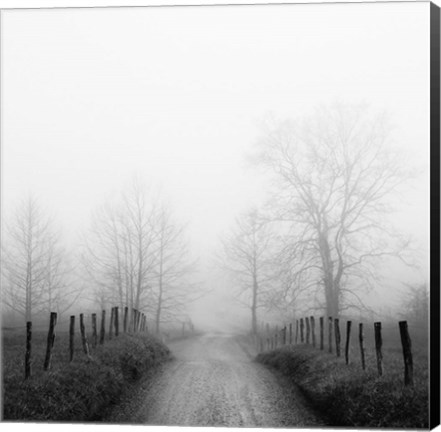 Framed Sparks Lane in Fog Print