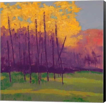 Framed Bright View No. 3 Print