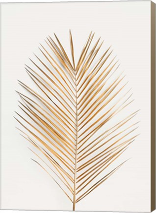 Framed Palm Leaf Gold Print