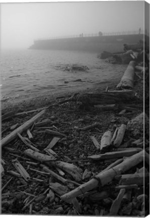 Framed Breakwater Fog (Victoria) Print