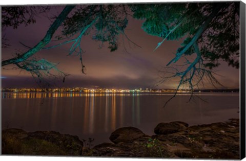 Framed Nanaimo Night Tree Print