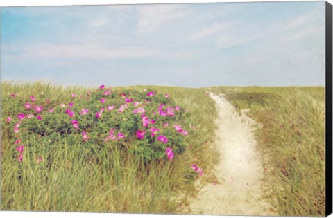 Framed Beach Roses Print